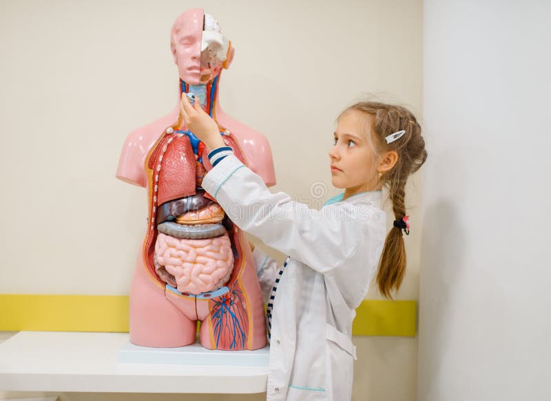 Chica Linda Jugando Al Doctor En El Muñeco Médico Foto de archivo - Imagen de linda, chica: 157896940