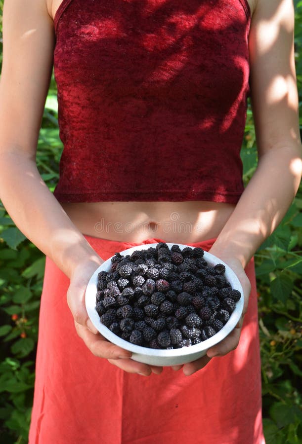 Chica sosteniendo dulces Blackberry en el bol postre de Blackberry foto de archivo Chica sosteniendo dulces Blackberry en el bol postre de Blackberry foto de archivo