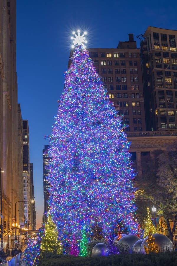 Chicago Christmas Tree, 2021 Editorial Stock Image - Image of tourism ...