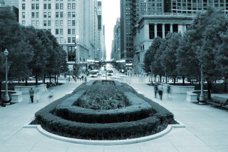 Chicago Skyline with Flowers Stock Photo Image of blossom, downtown