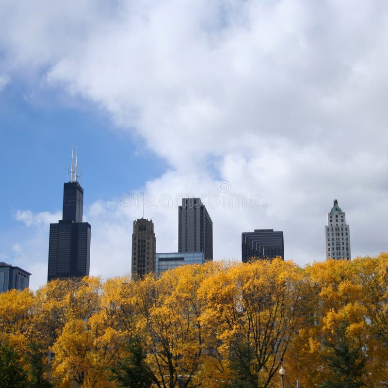 Chicago skyline including Sears Tower in autumn. Chicago skyline including Sears Tower in autumn