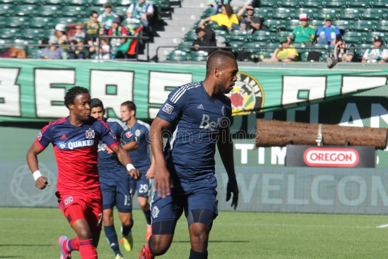 Chicago Fire reportage editorial stock image. Image of guard 138479604