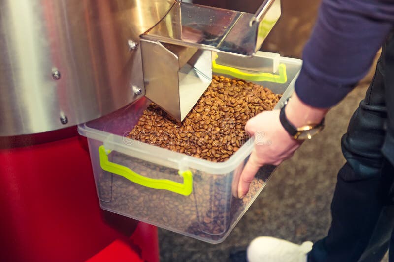 Chicchi di caffè dopo il processo d'arrostimento in macchina del professionista Girarrosto a tamburo Processo di Rosting di caffè immagini stock libere da diritti Chicchi di caffè dopo il processo d'arrostimento in macchina del professionista Girarrosto a tamburo Processo di Rosting di caffè immagini stock libere da diritti