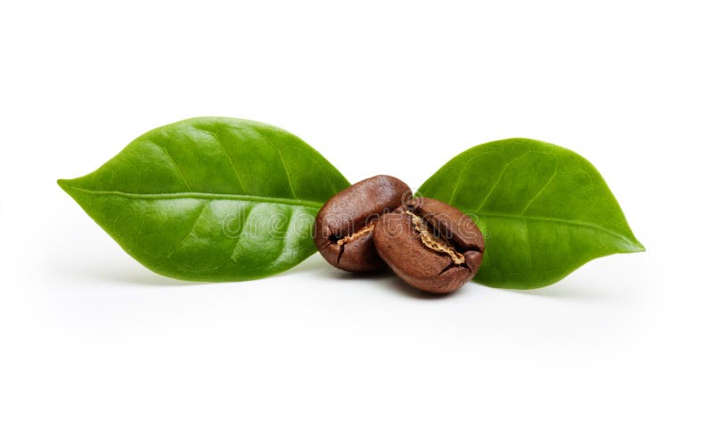 Chicchi di caffè nero, grano con la foglia immagine stock libera da diritti
