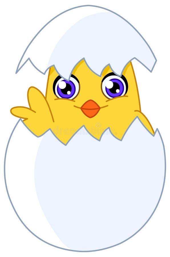 Chick stock illustration