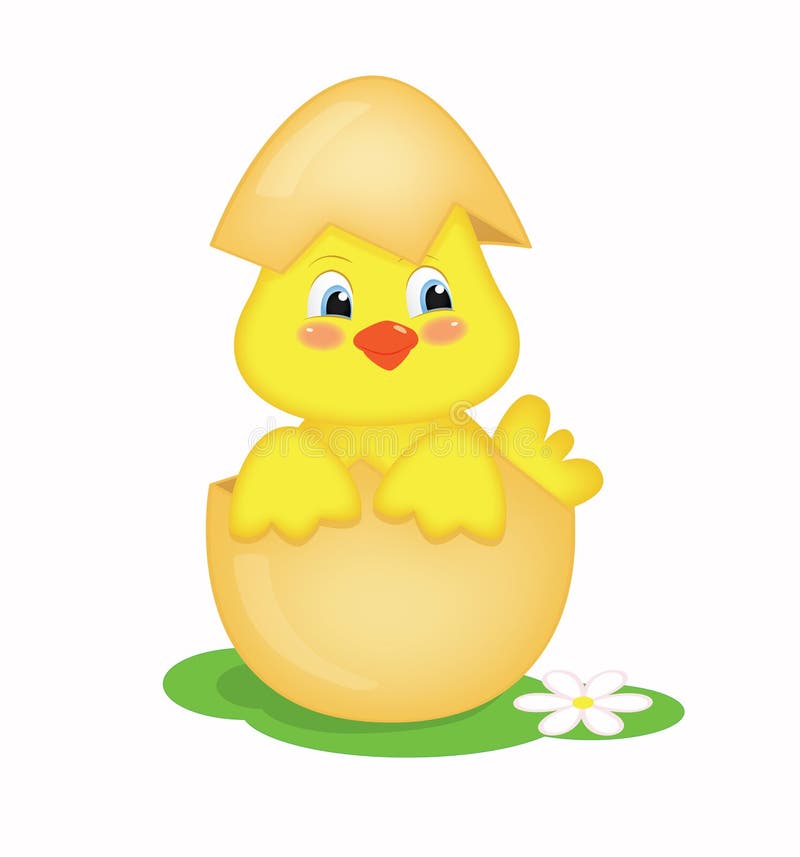 Chick stock illustration. Illustration of nice, animal - 65769498