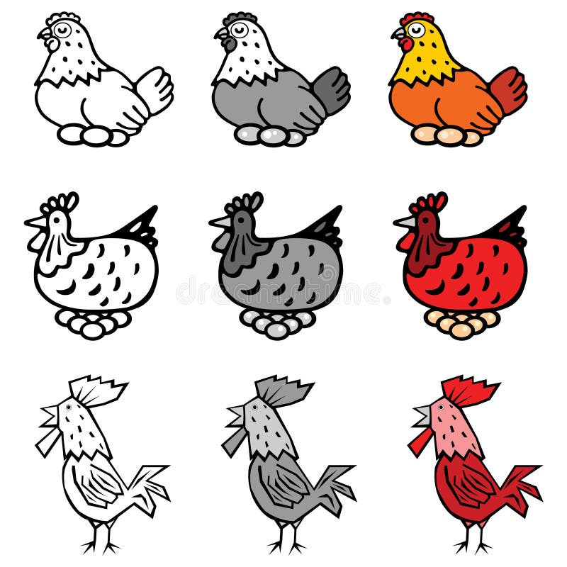 Chicken vector illustration
