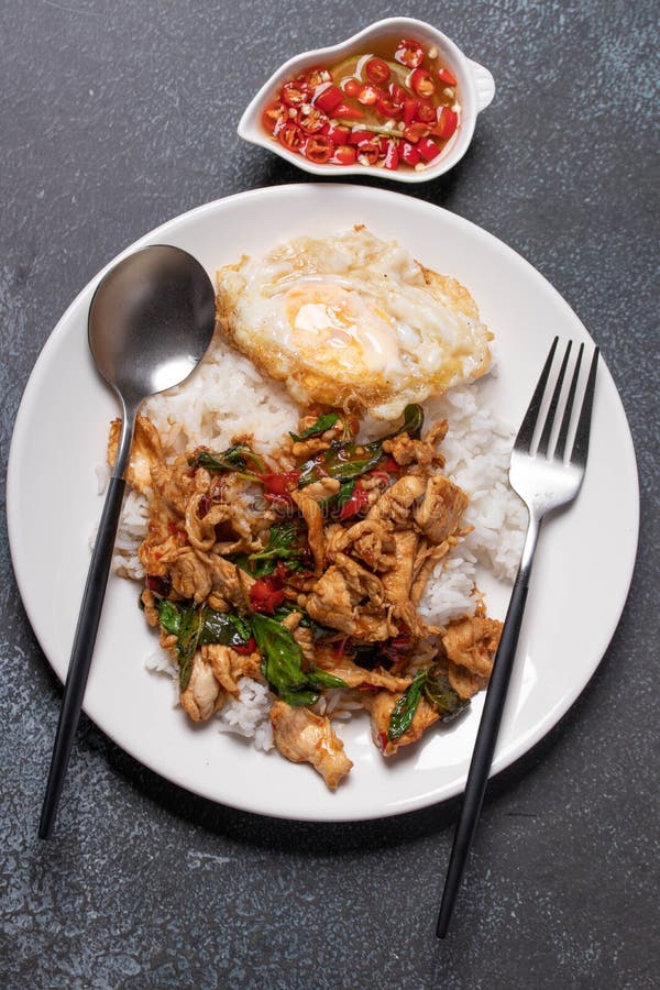 Chicken Basil Rice with Fried Egg in White Plate on Black Background. Popular Thai Food Stock