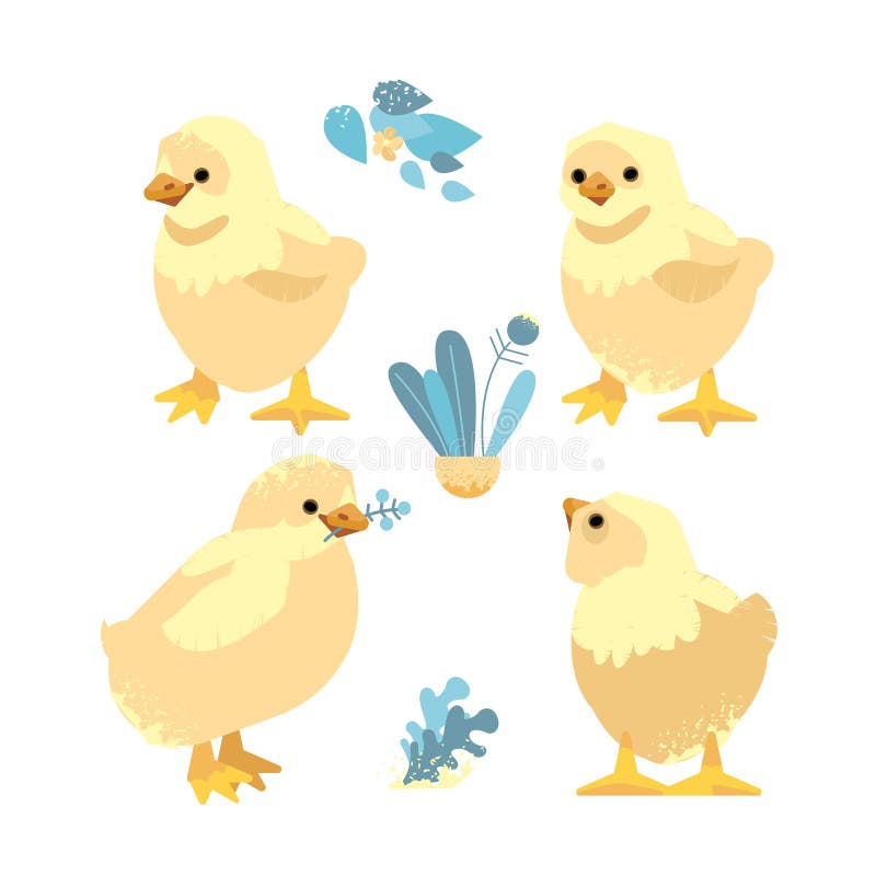 Chicken birdie. Isolated cartoon vector illustration icons. Cute chickens stock illustration Chicken birdie. Isolated cartoon vector illustration icons. Cute chickens stock illustration