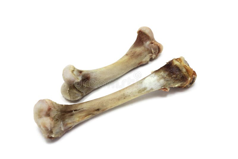 Chicken bones isolated stock photo. Image of residues - 44364434