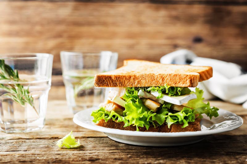 Chicken Brie Cheese Sandwich on the Plate Stock Photo Image of