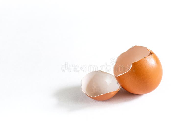 Isolated Chicken Broken Egg on White Background Stock Image Image of