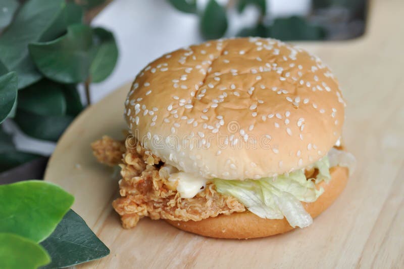 Chicken Burger or Hamburger, Burger Stock Photo Image of bread
