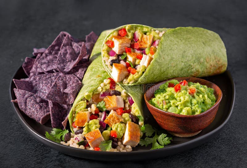 Chicken Burrito with Blue Corn Tortilla Chips Stock Image Image of