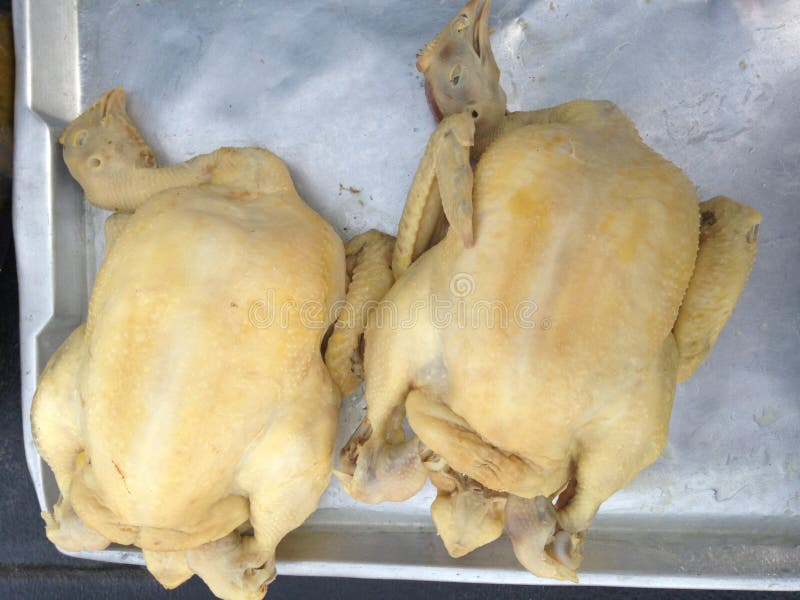 Chicken carcass stock photo. Image of chicken, wings 48838266