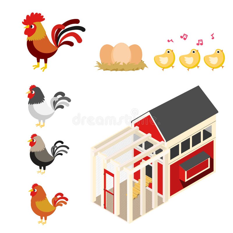Chicken Coop Illustration Set Stock Vector Illustration of farm