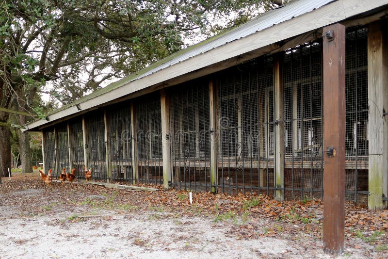 Chicken Coop stock image. Image of rustic, ranch, chicken 36755373