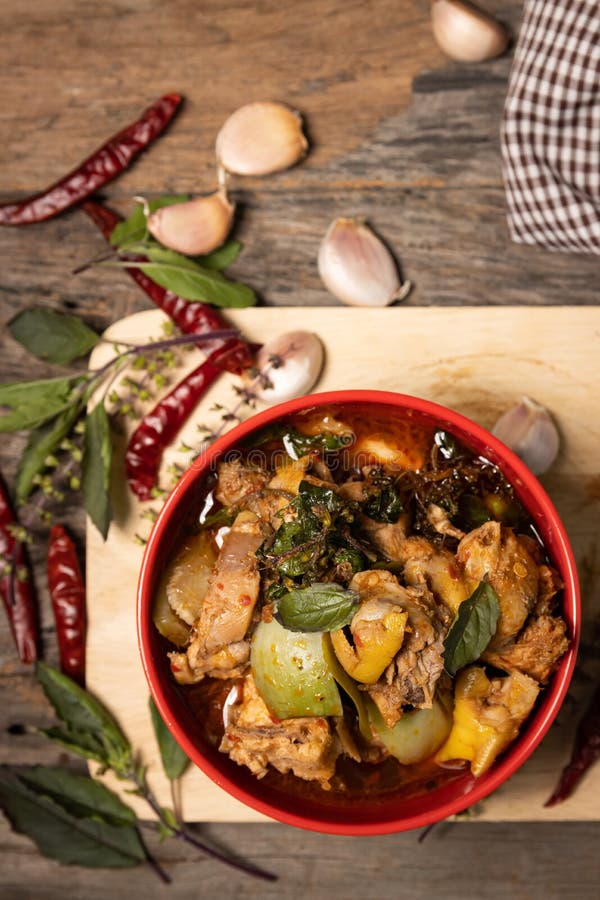 Chicken Curry with Eggplant Very Spicy Stock Image Image of meat