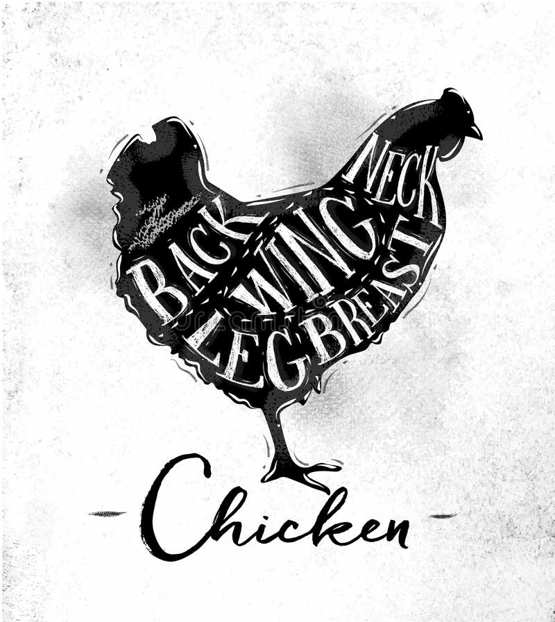 Chicken cutting scheme stock illustration Chicken cutting scheme stock illustration