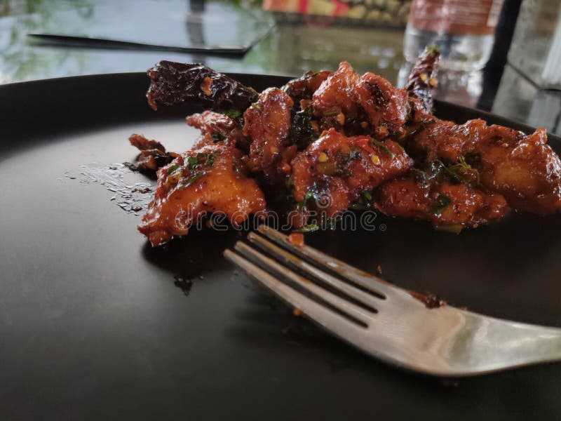 Guntur chicken stock image. Image of gourmet, india 238610625