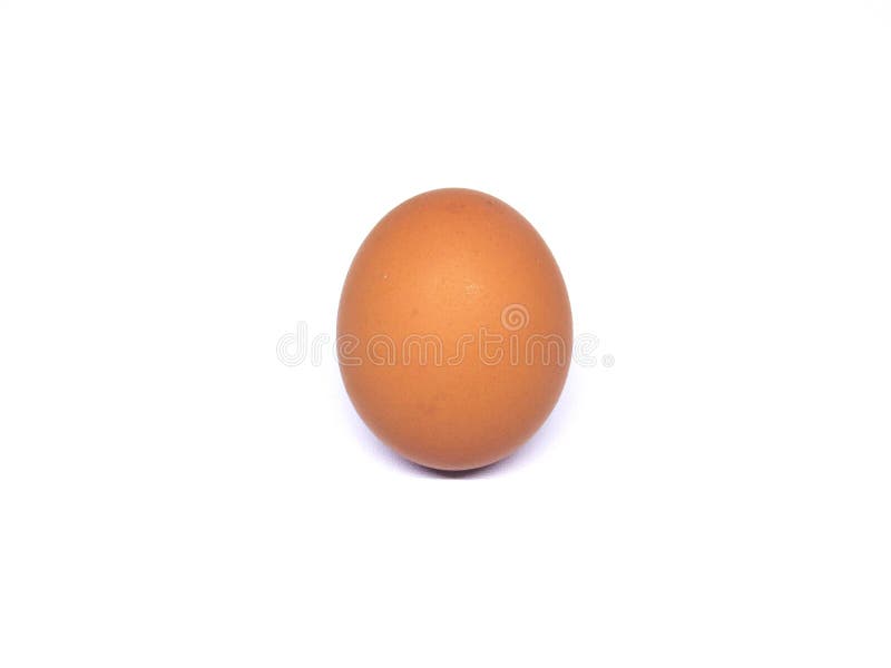 CHICKEN EGG ISOLATED PHOTO WITH WHITE BACKGROUND stock photography CHICKEN EGG ISOLATED PHOTO WITH WHITE BACKGROUND stock photography