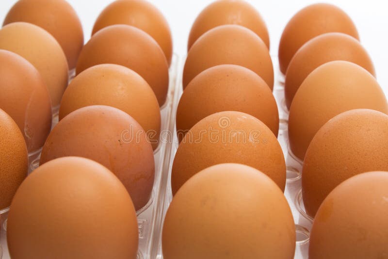 Chicken eggs stock image. Image of agriculture, cholesterol 11902129