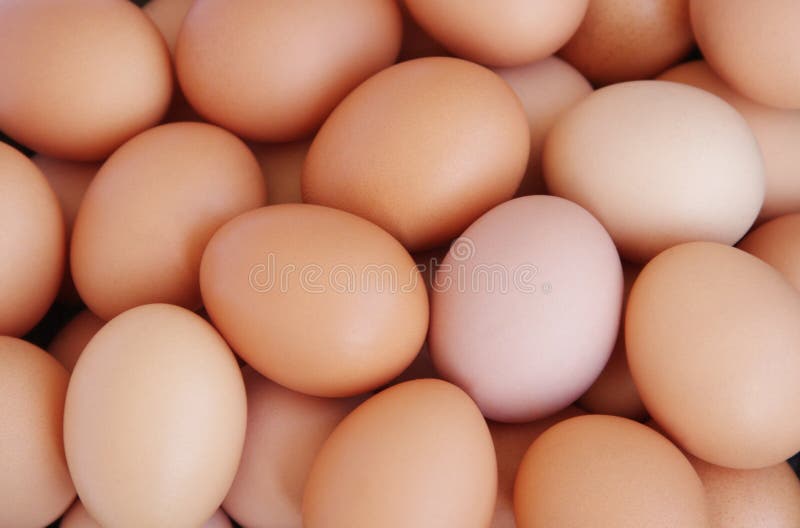 Chicken eggs