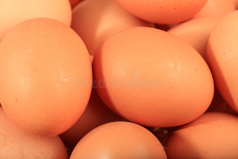 Chicken eggs stock photo. Image of close, coop, detail 22913812