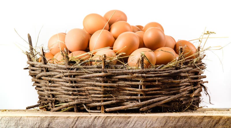 Chicken eggs in big nest isolated. Organic food