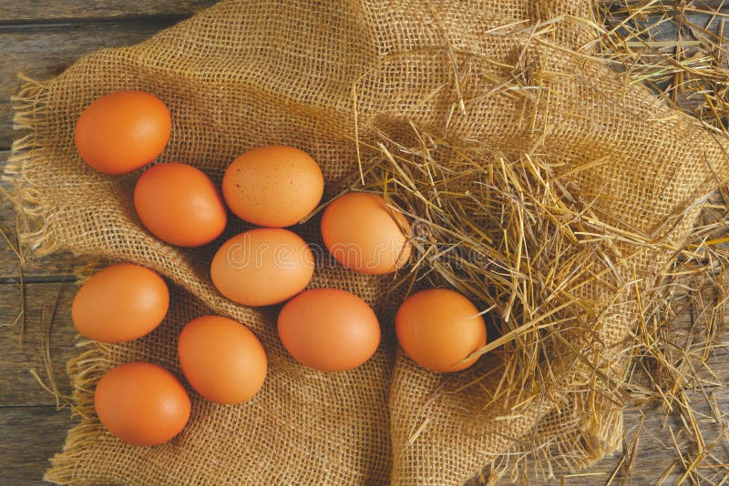 Chicken Eggs on Burlap in the Chicken Coop, Top View Stock Image