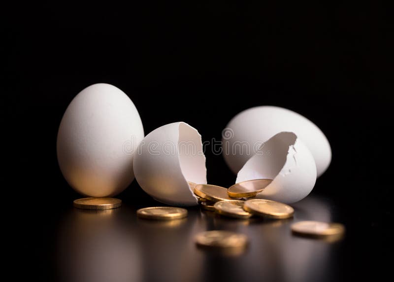 Chicken eggs and gold coins on a black background