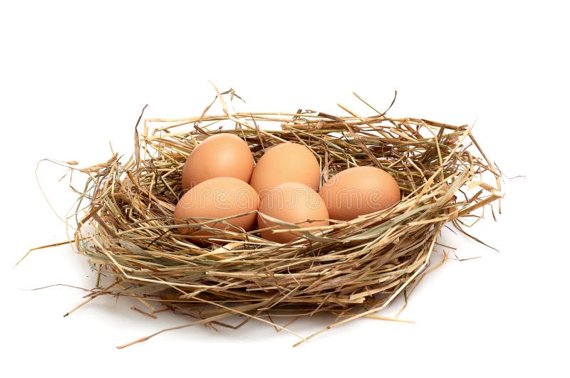 Chicken eggs in a hay on a white .