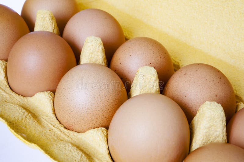 Chicken Eggs in Open Carton. Hen Eating Stock Image Image of carton