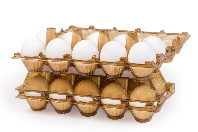 Chicken Eggs in Plastic Egg Packaging Trays, Side View Stock Image