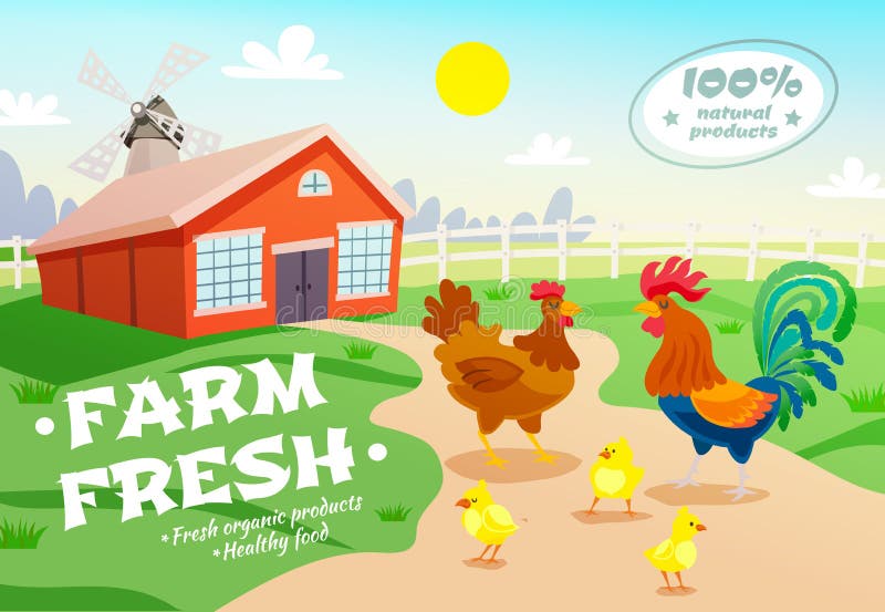 Chicken Farm Advertising Background vector illustration Chicken Farm Advertising Background vector illustration