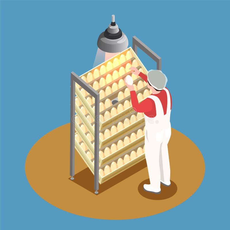 Chicken Farm Isometric Design Concept royalty free illustration Chicken Farm Isometric Design Concept royalty free illustration
