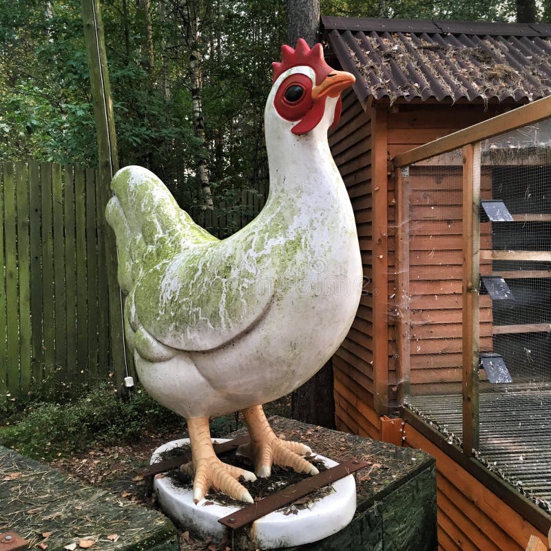 1,785 Figure Chicken Stock Photos Free & RoyaltyFree Stock Photos