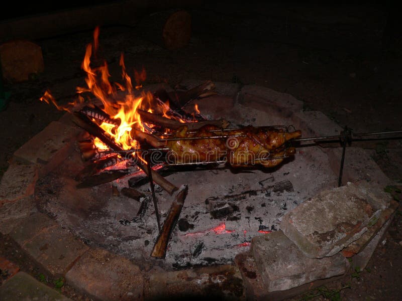 Chicken on fire stock image. Image of chicken, drumstick 59684945