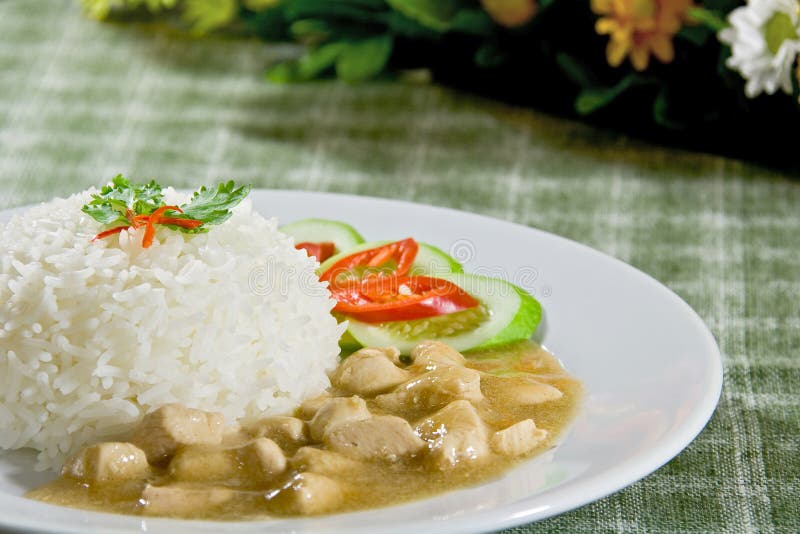 Chicken in Gravy Sauce Rice Stock Image Image of culture, cooked