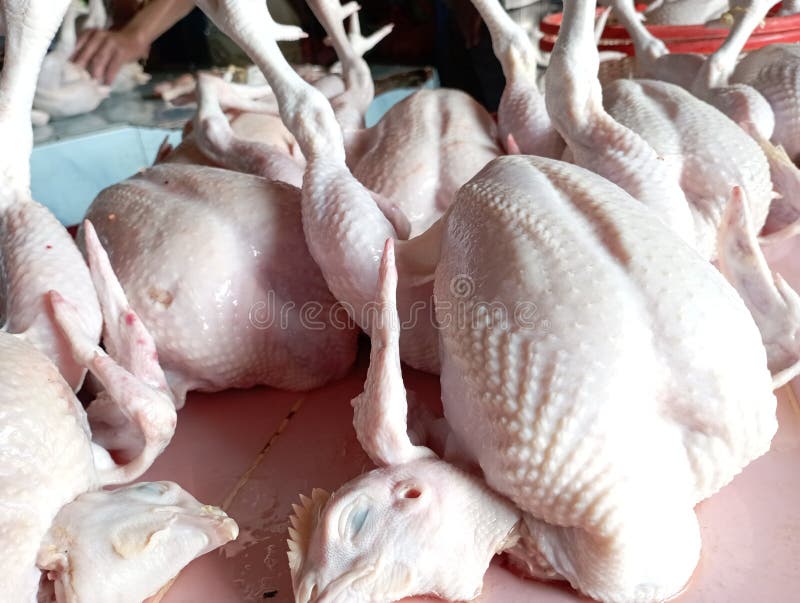 The Chicken Meat Market Traditional Stock Image Image of market