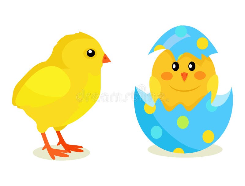 Chicken and Newborn Chick Hatch from Shell Vector