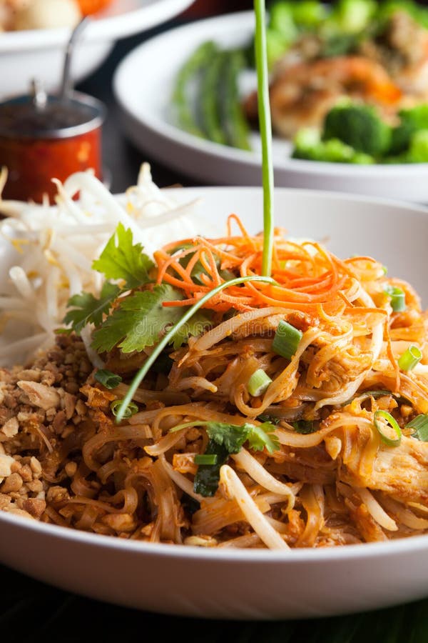 Chicken Pad Thai Closeup stock image. Image of delicious - 48459503