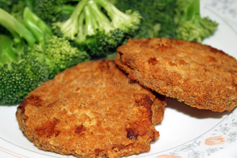 Lean ground chicken stock image. Image of uncooked, texture 35030609