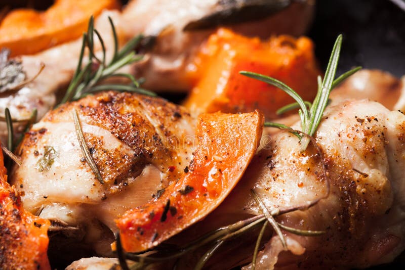 Chicken with pumpkin stock photography