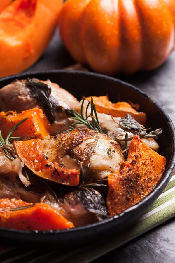 Chicken with pumpkin stock photography