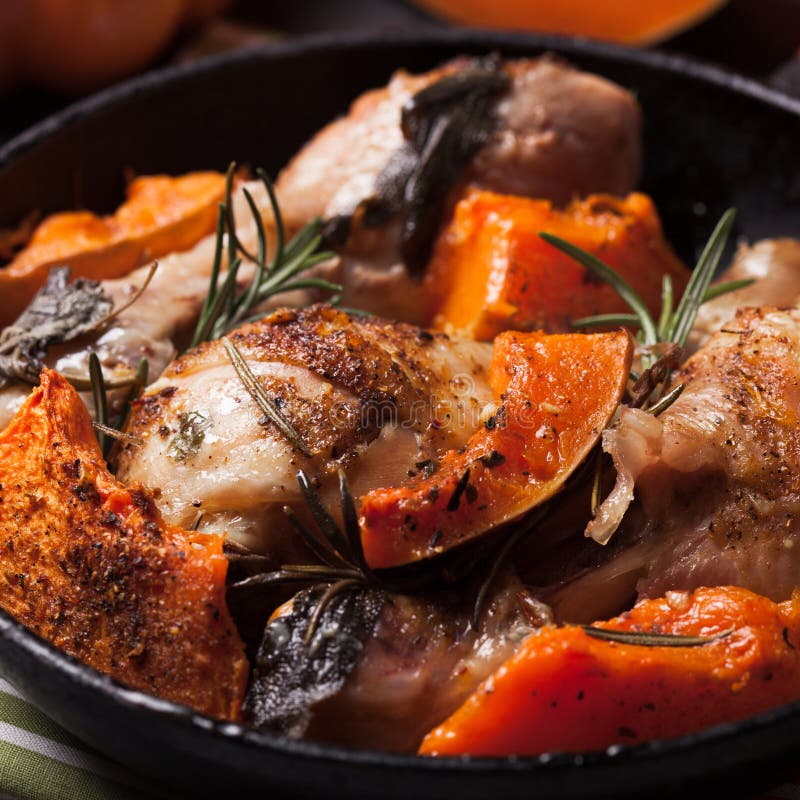 Chicken with pumpkin royalty free stock photography