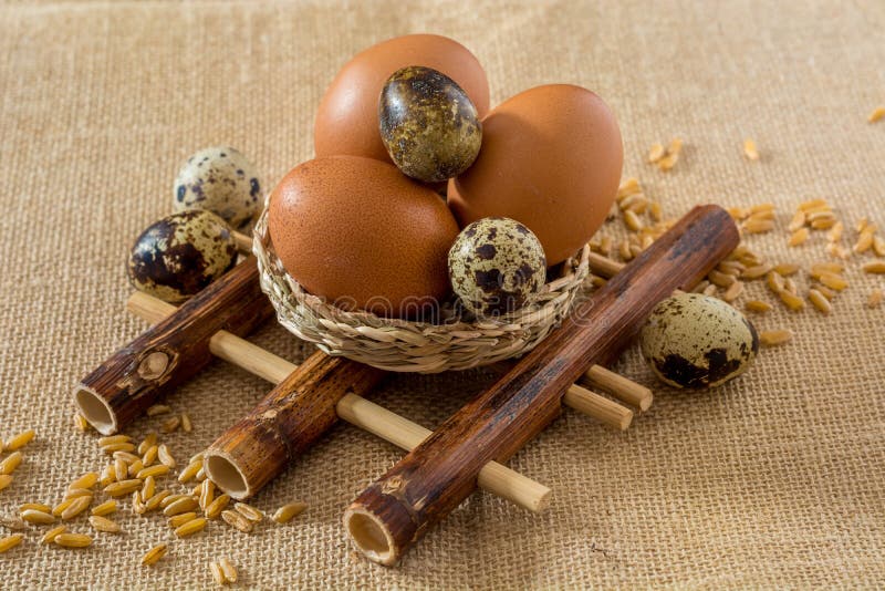 Quail Eggs Bamboo Pad Stock Photos Free & RoyaltyFree Stock Photos from Dreamstime