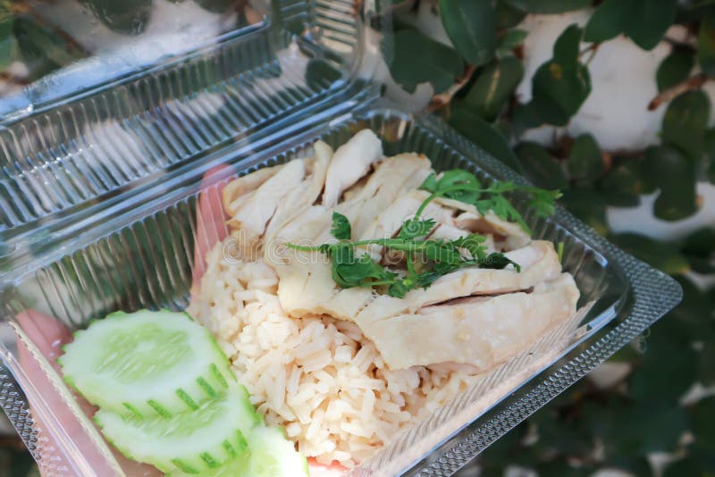 Chicken and Rice ,chicken Rice or Chinese Chicken Rice in the Box Stock