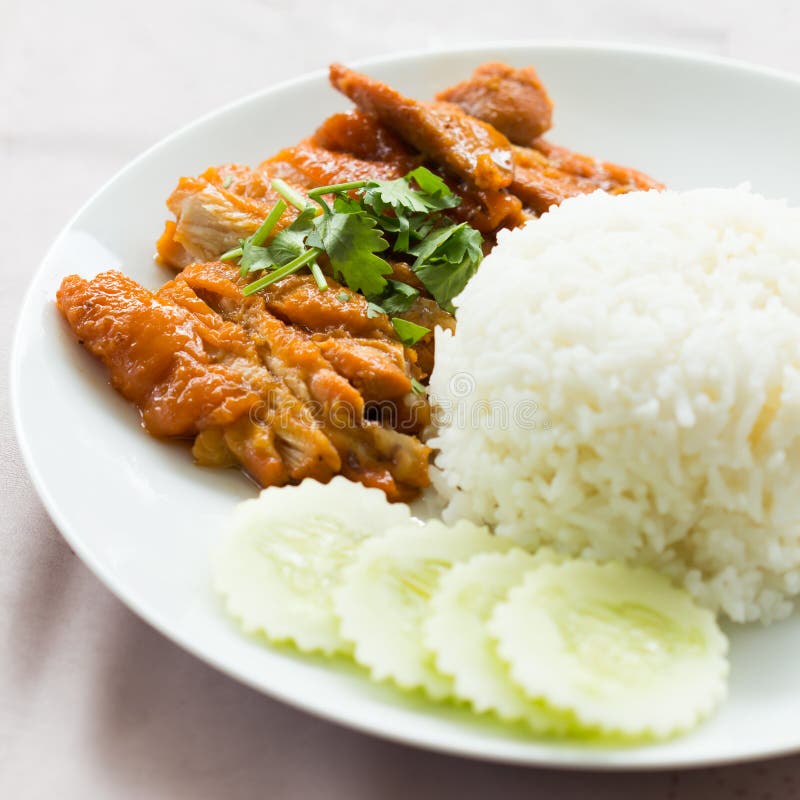Curry chicken rice stock photo. Image of tasty, meat 11885228