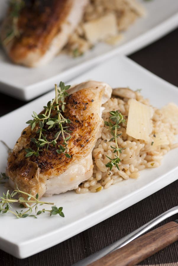 5,503 Chicken Risotto Stock Photos Free & RoyaltyFree Stock Photos